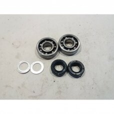 Genuine Crankshaft Bearing And Sealing STIHL BG45 FS45 FS55 HL45 HS45 KM55